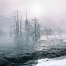 SteveMundy-Mist.jpg