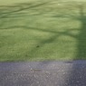 TreeShadowbyEdDoughty.jpg