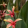 Wisley_gardens-07resize.jpg