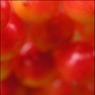 berries1.jpg