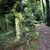 OffasDykepathnearTidenhamChase.jpg