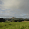DSC_0887.jpg