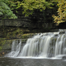 DSC_0905.jpg