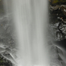 DSC_0917.jpg