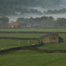 DSC_0927.jpg
