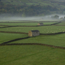 DSC_0929.jpg