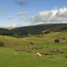 DSC_0987.jpg