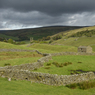 DSC_1014.jpg