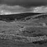 DSC_1014bw.jpg