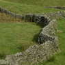 DSC_1015.jpg