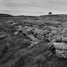 _DSC1362.jpg