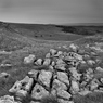 _DSC1367.jpg