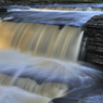 _DSC1461.jpg