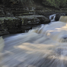 _DSC1461big.jpg