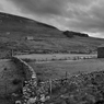 _DSC1600.jpg