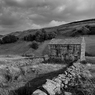 _DSC1703bw.jpg