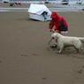 img_19165.jpg
